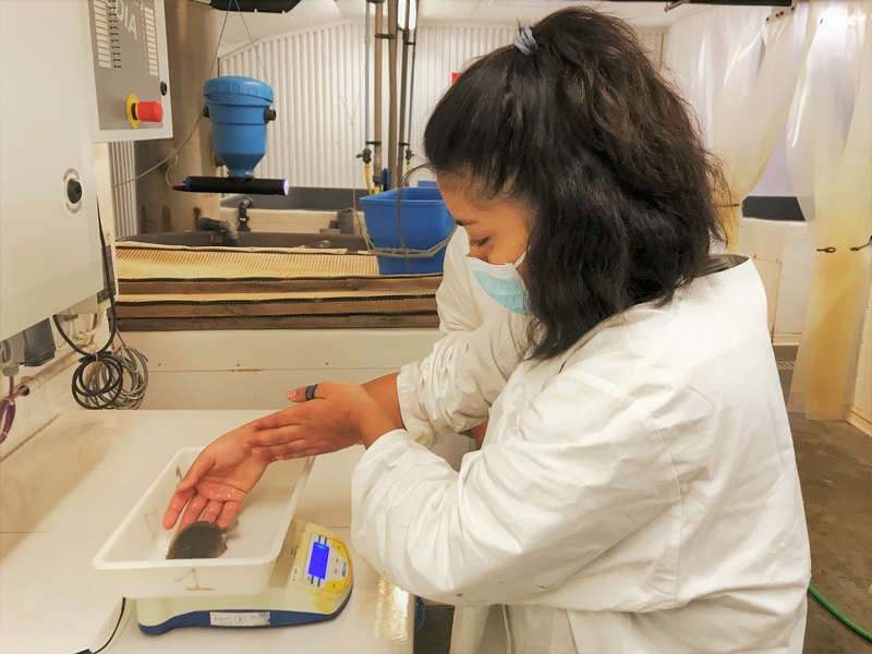 Travaux pratiques à la ferme aquacole pour la classe de Seconde Cultures Marines