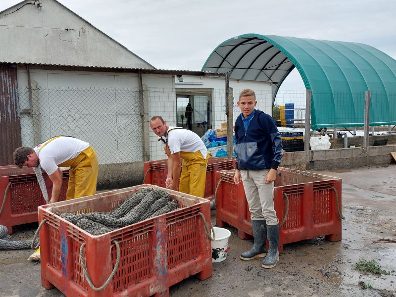 Découverte de la mytiliculture à Pénestin