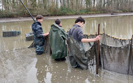 LA CLASSE DE SECONDE CULTURES MARINES A LA DECOUVERTE DES POISSONS D'EAU DOUCE