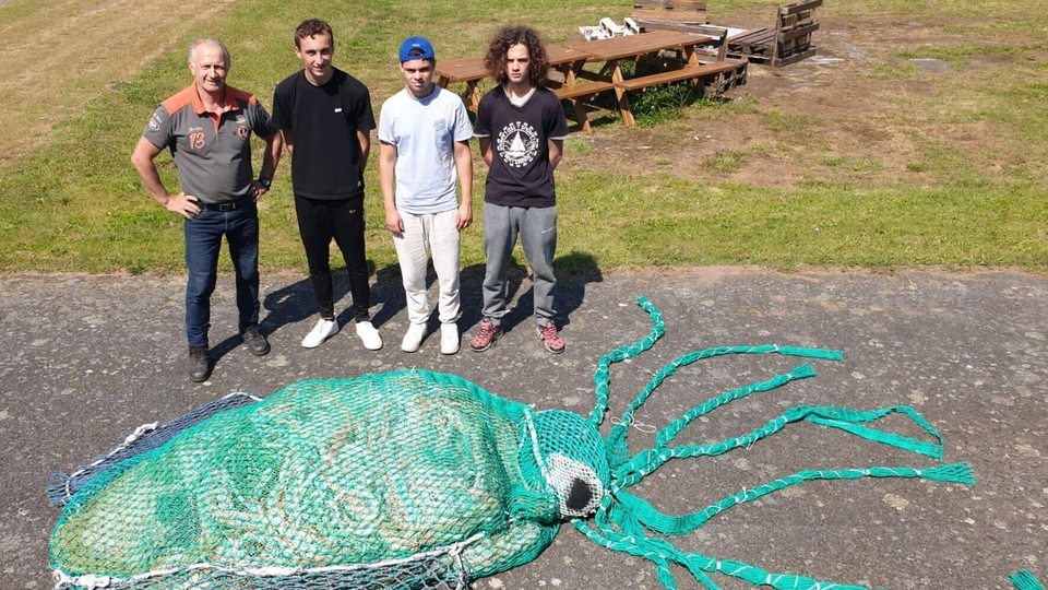 Projet Diwall : un nouveau poulpe au lycée Jacques de Thézac