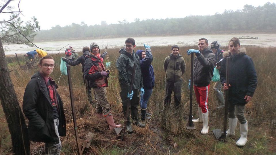 Opération Baccharis pour la classe de 1ère Cultures Marines