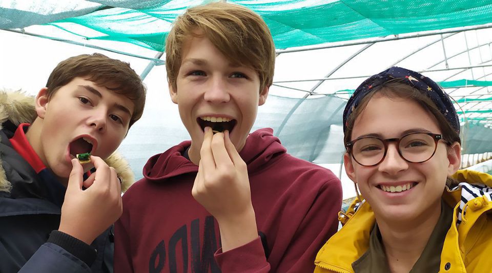 Bretagne Spiruline invite la classe de 2nde Cultures marines à découvrir son site d’exploitation