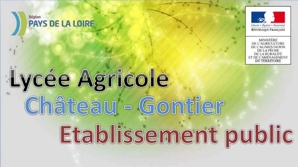 Vers un partage des pratiques professionnelles