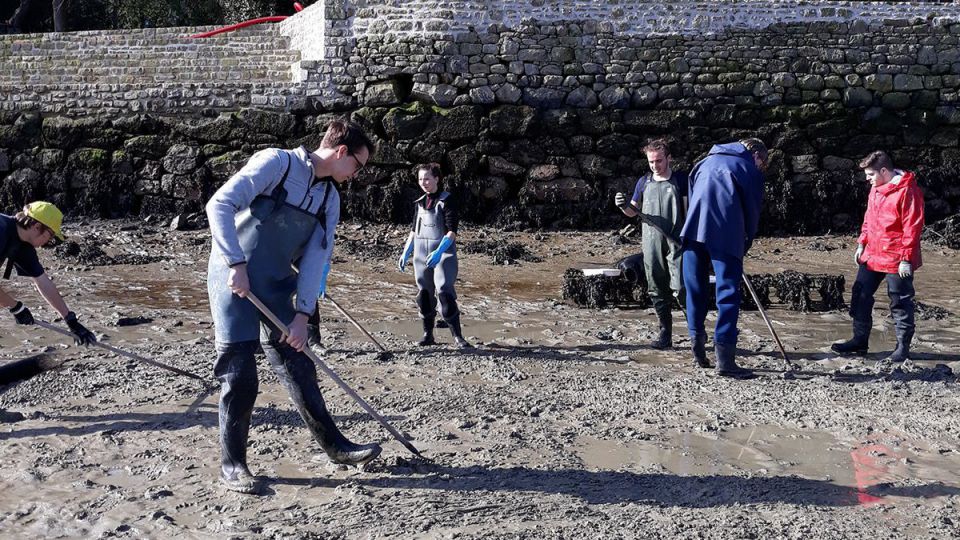 Au printemps, les élèves de seconde Bac Pro Cultures Marines sèment des palourdes…..