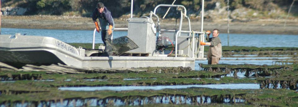 Formations pour l’installation sur le domaine publique maritime
