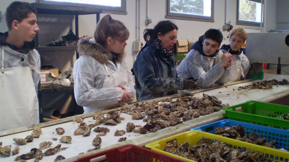 Mini-stages 2017 pour les élèves de 3ème des collèges