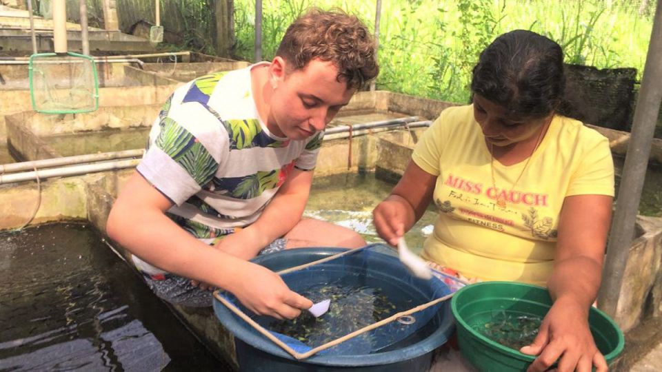 Justin Larue élève des Guppys au Sri Lanka