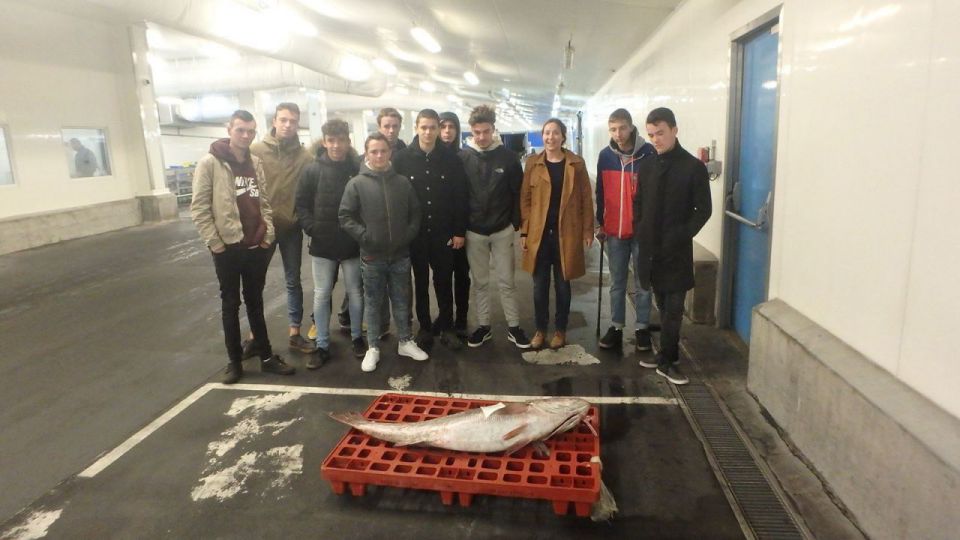 La classe de 2de cgem pêche en visite au port de pêche de Lorient