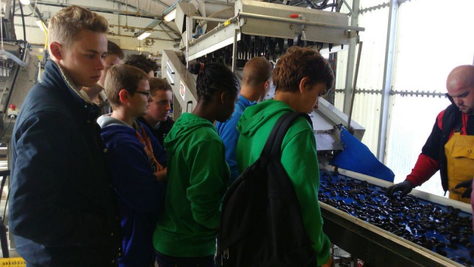Un stage mytiliculture à Pénestin pour les secondes cultures marines
