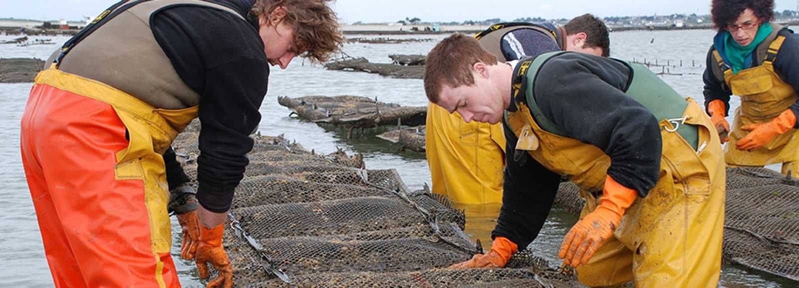 L'aquaculture marine